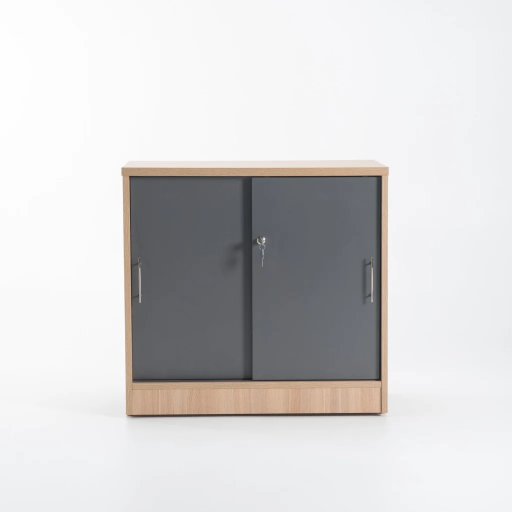LOGO 2 DOOR CABINET - Image 4